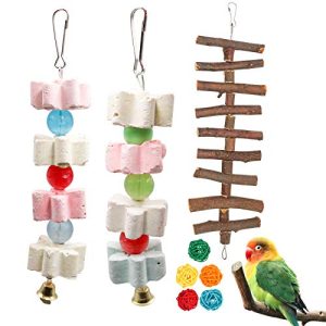 S-Mechanic Parrot Chewing Toy Beak Trimmer Calcium Stone with Bell Lava Block Grinding Stone for Chinchilla,Cockatiel,Conure,Budgies,African Grey, Amazon Parrots,Parakeet Bird 2 Packs (Style-1)