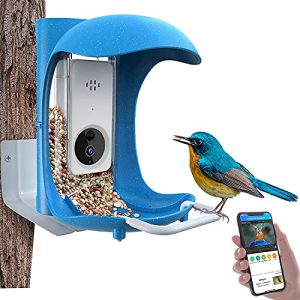 BirdDock Smart Bird Feeder with Camera, HD Visual Storage Feeders, Night Video Camera, Heavy Duty Base for Waterproof Outside/Yard/House /Tree-(2022 Newest Version, Upgraded APP Connection)