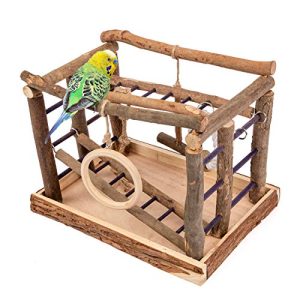 Niteangel Natural Living Playground for Birds, Bird Activity Center