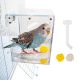 Hanging Bathtub for Budgie birds