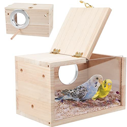 Parakeet Nest Box - Transparent design | Budgie Shop