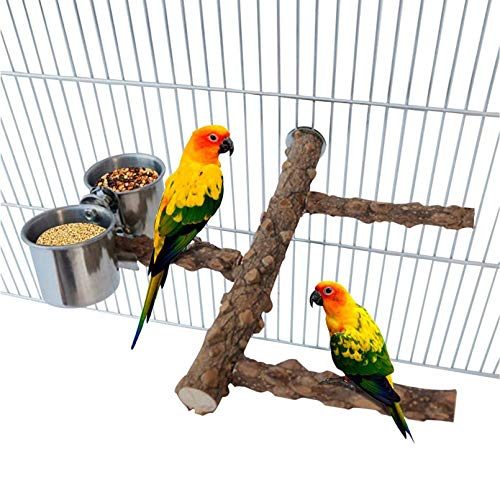 Branch Perch with Parrot Food Bowl Budgie Shop