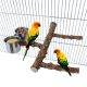 Branch Perch with Parrot Food Bowl