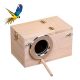 Perfect size nest box for Budgie birds