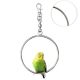 Hanging swing for Budgies